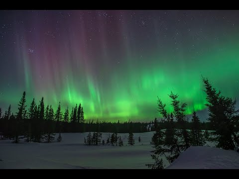 One Hour Stress Relief Therapeutic Video 4k/Nature Relaxation Aurora Borealis Real Time Video