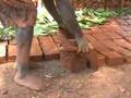 Mitandi - Uganda (extended)