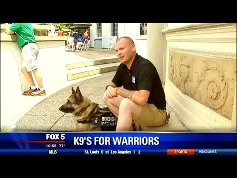 how to train psychiatric service dog