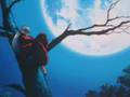 Dearest  - Inuyasha  Tenka hadou no ken Swords of an Honorable Ruler - David Kaye - Flixster Video