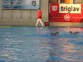 Vaterpolska tekma Kadeti 93 med Slovenijo in Medve??akom