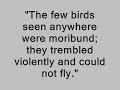 a short tribute to rachel carson.

what would have been the 100th birthday of the founder of the modern enviromental movement, passed without much notice.

her book, 