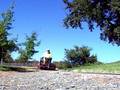GP9 Full Throtle