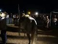 baile de caballos en fundicion Sonora Mexico
