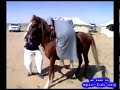 Montarse a caballo (fail)