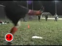 WAKA KC - Amazing Technicolor vs. El Guapo