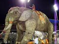 Carnavalesco Milton Cunha em Cima do Elefante da S�o Clemente