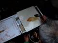 videos de Malt Candy Made into Fish