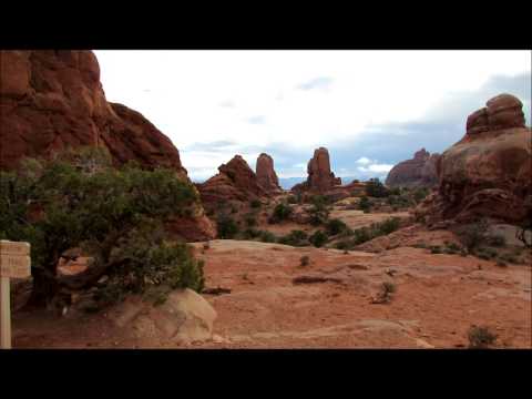 grand national results