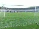 Petcovick_FLA 3x1 VAS