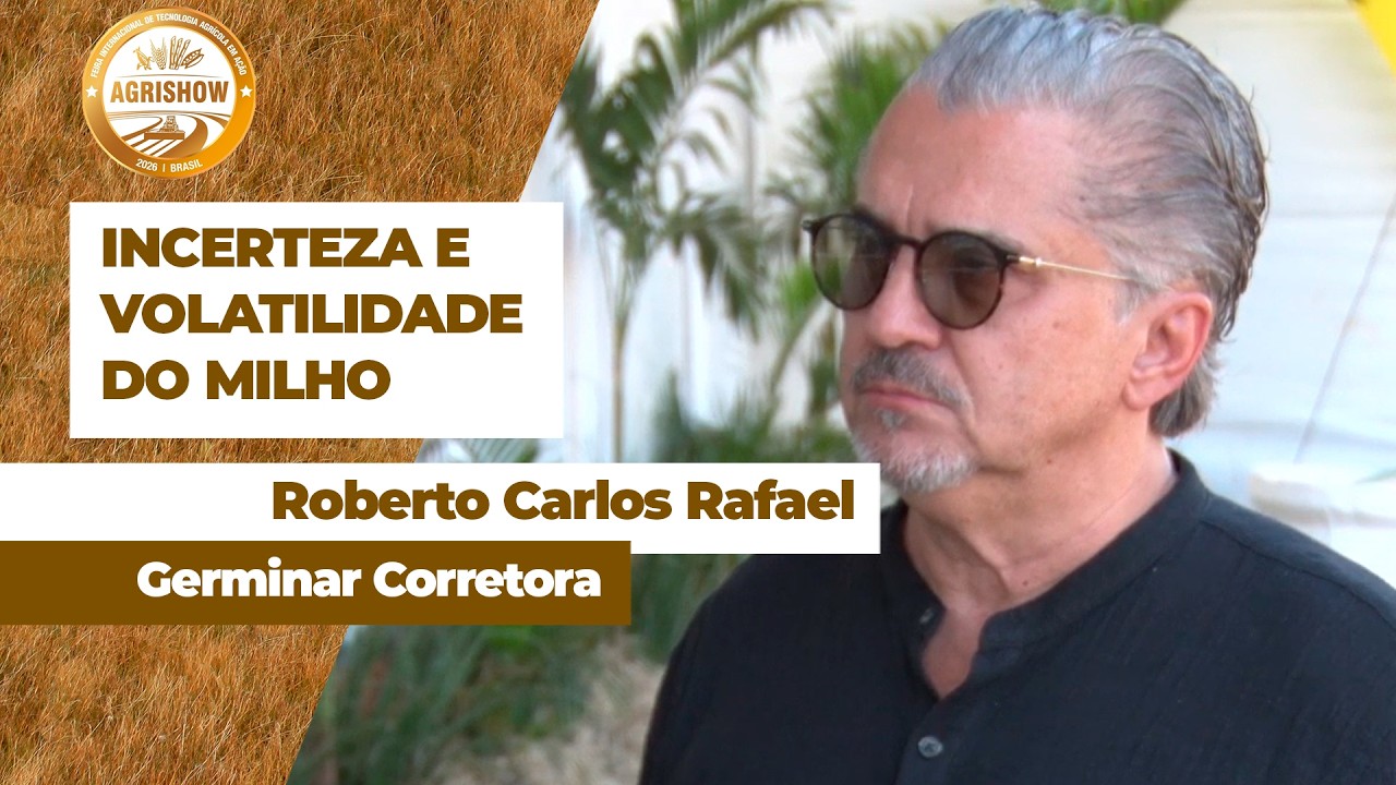 Mercado do milho está dominado por incertezas e volatilidade tende a se manter