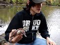 Herping with Dylan: Painted Turtle Herping with Dylan: Painted Turtle