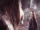 This is Not a Dream - Lucy and Aslan