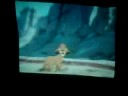 Disney Wonder- Animators Pallete