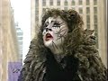 Cats - Memory - Linda Balgord Cats - Memory - Linda Balgord
