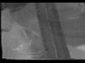 clip video The Cure A Blues In Drag