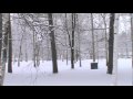 paysage d'hiver parck blanchard sherbrooke