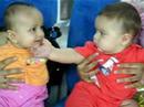 flight in spicejet