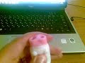 (uploaded by Dubovoy)&nbsp; Mini Pig