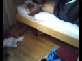 young life bunk beds