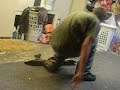 Cant Land a Damn Treflip