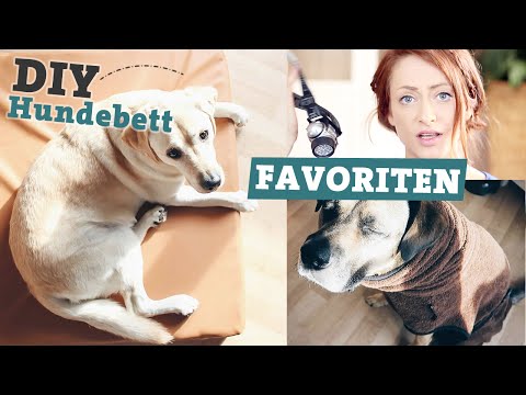 FAVORITEN Hundezubehör | DIY Hundebett selber machen | Bademantel für Hunde
