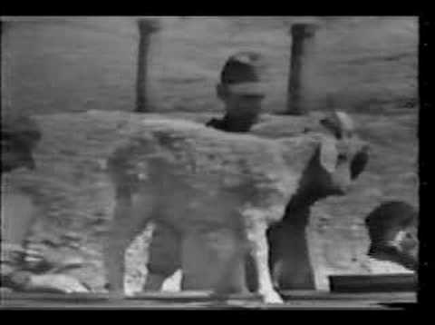 Nerve gas test2