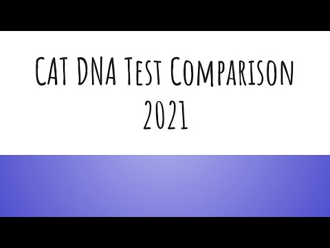 Cat DNA Test Results Comparison - Basepaws and Wisdom Panel