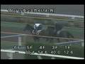 videos de [調教] 080723 マンハッタンスカイ 「函館記念」前追い切り
