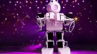 EZ-Robot : humanoid demo, Meet J.D