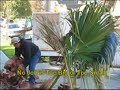 Pedro Diaz Lawn Maintenance Pedro Diaz Lawn Maintenance