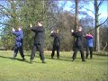 Qigong Training Spirit Qi 8 pieces of Silk Brocade