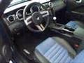 2008 Blue ROUSH 427R Ford Mustang