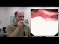 Dr. Levitan's Nasoendoscopyin New Zealand