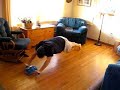 10 AbSlide Standing Rollouts