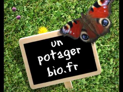 Image de prévisualisation YouTube