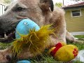 Charlie Daniels - The Fine Art - 18 September 2008