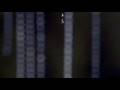DNA Awakening - Spontaneous Dna - Cities of Light 11 11 DNA Awakening - Spontaneous Dna - Cities of Light 11 11