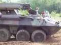 Piranha in Full-Reuenthal 2007