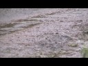 November snow
