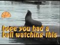 you dont have the balls to watch this!