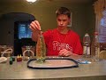 Sciance Project (lava lamp)