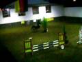 videos de angelina & jordy au jumping de anloy