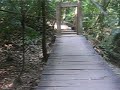 Palenque-Mexico