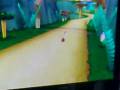 videos de Mario Kart Wii Disaster
