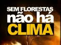 Sem florestas nao ha clima