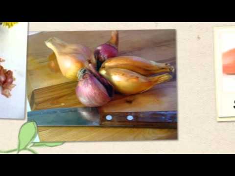 how to fertilize shallots