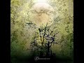 The Deadlight Effect - Clouded Hands