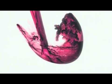 Taylors Wines