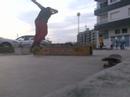 pinto [1] acr